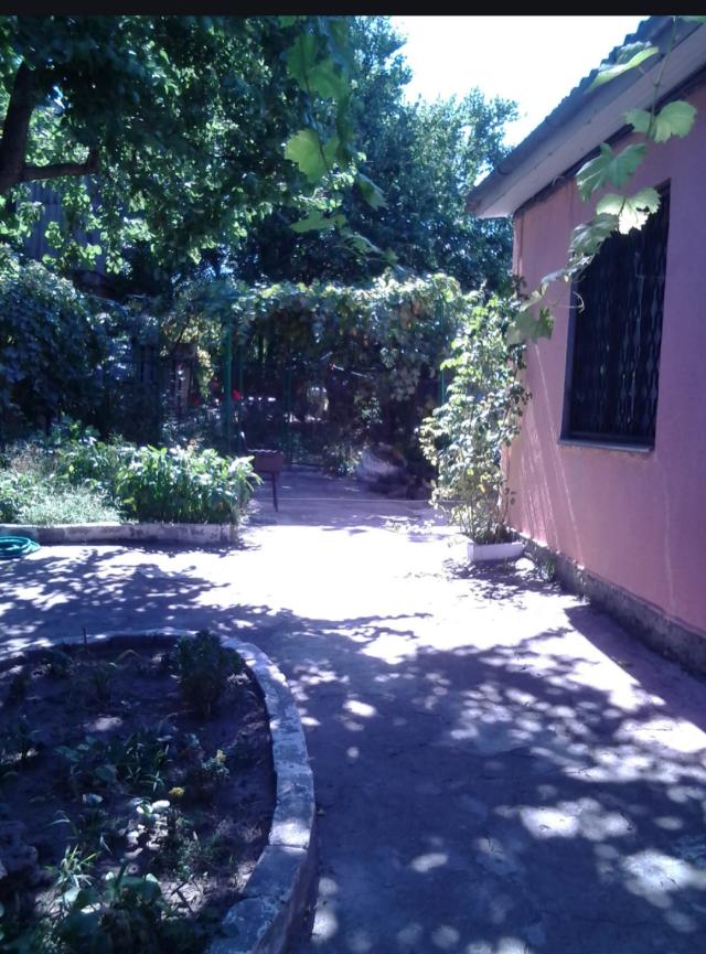 https://photo.capital.com.ua/foto_d/d5517611115.jpg