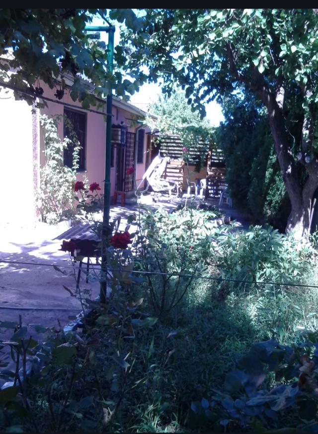 https://photo.capital.com.ua/foto_d/d5517611117.jpg