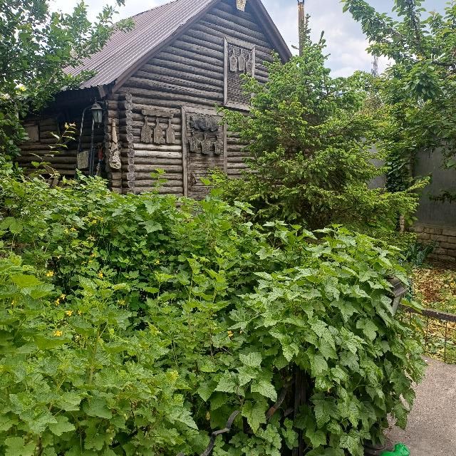 https://photo.capital.com.ua/foto_d/d5517611801.jpg