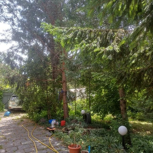 https://photo.capital.com.ua/foto_d/d5517612211.jpg