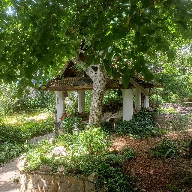 https://photo.capital.com.ua/foto_d/d5517612301.jpg