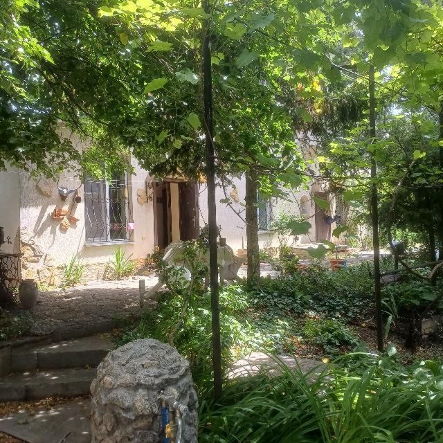 https://photo.capital.com.ua/foto_d/d5517612302.jpg