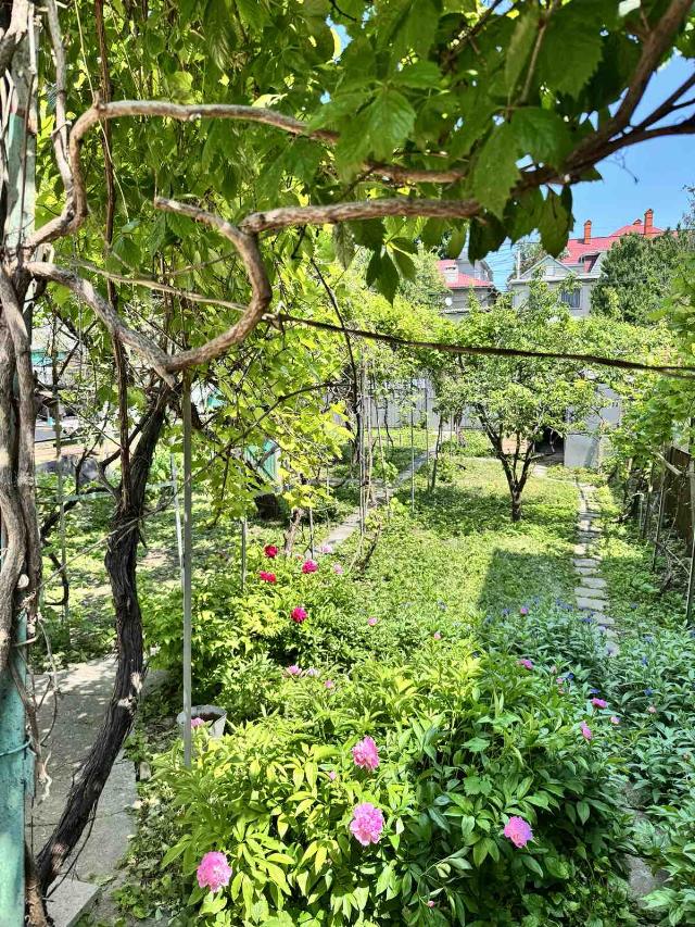 https://photo.capital.com.ua/foto_d/d55191391401.jpg