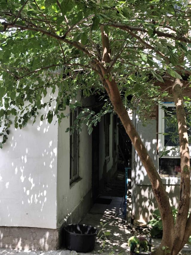 https://photo.capital.com.ua/foto_d/d55191393910.jpg