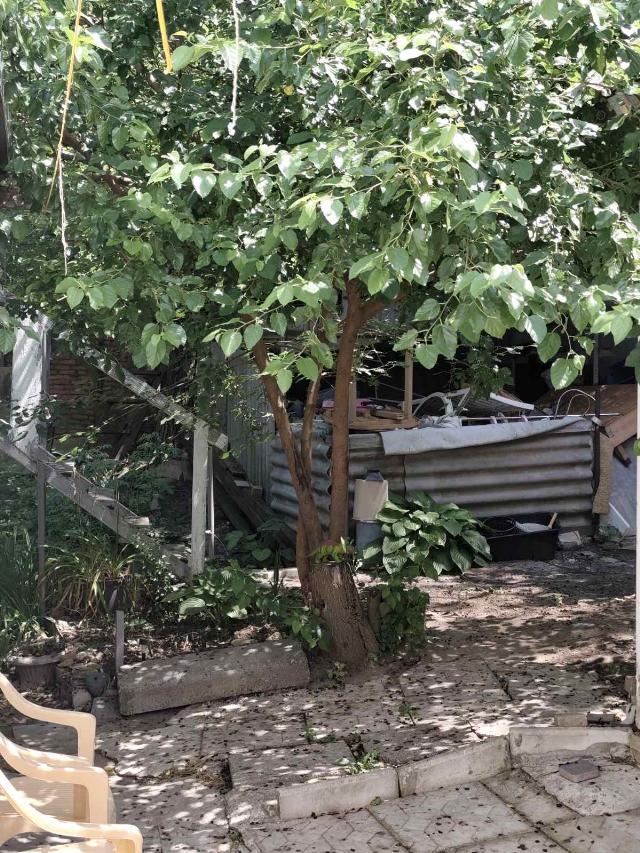 https://photo.capital.com.ua/foto_d/d55191393912.jpg