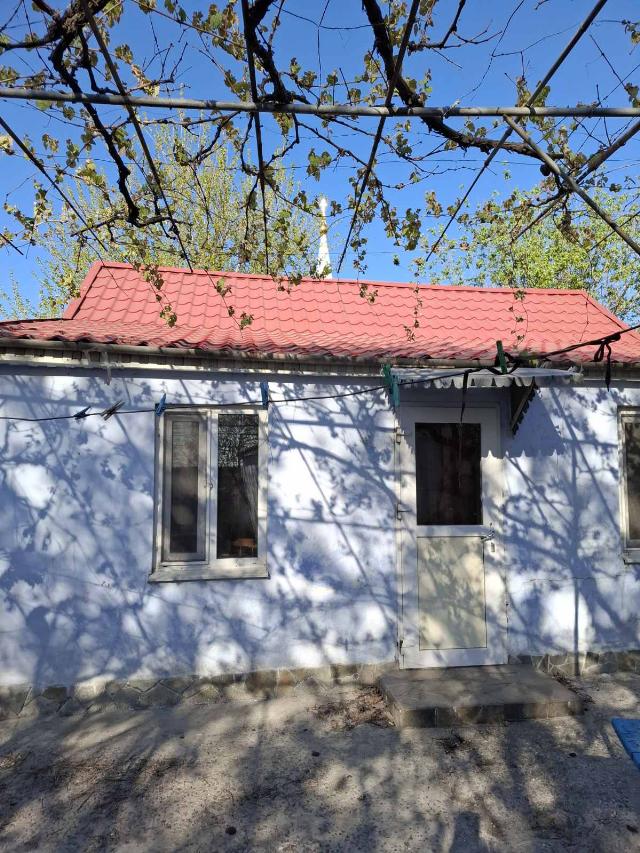 https://photo.capital.com.ua/foto_d/d55191395201.jpg
