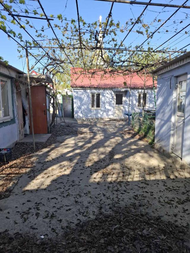 https://photo.capital.com.ua/foto_d/d55191395203.jpg