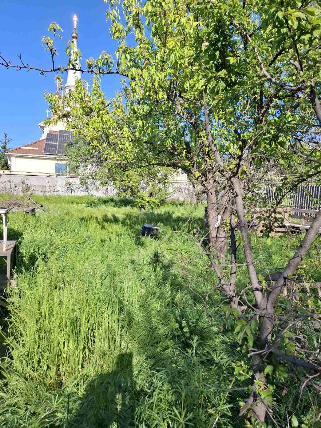 https://photo.capital.com.ua/foto_d/d55191395212.jpg