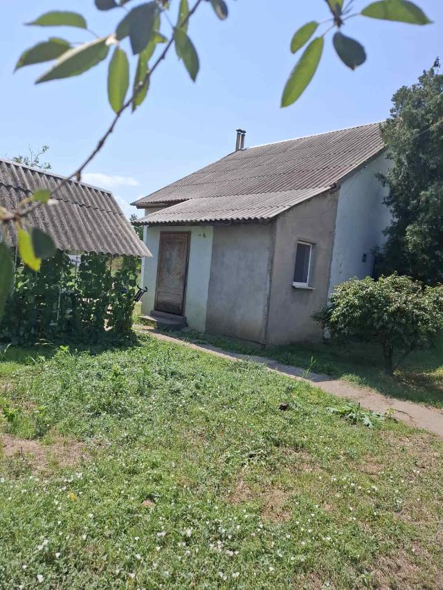 https://photo.capital.com.ua/foto_d/d55191397415.jpg