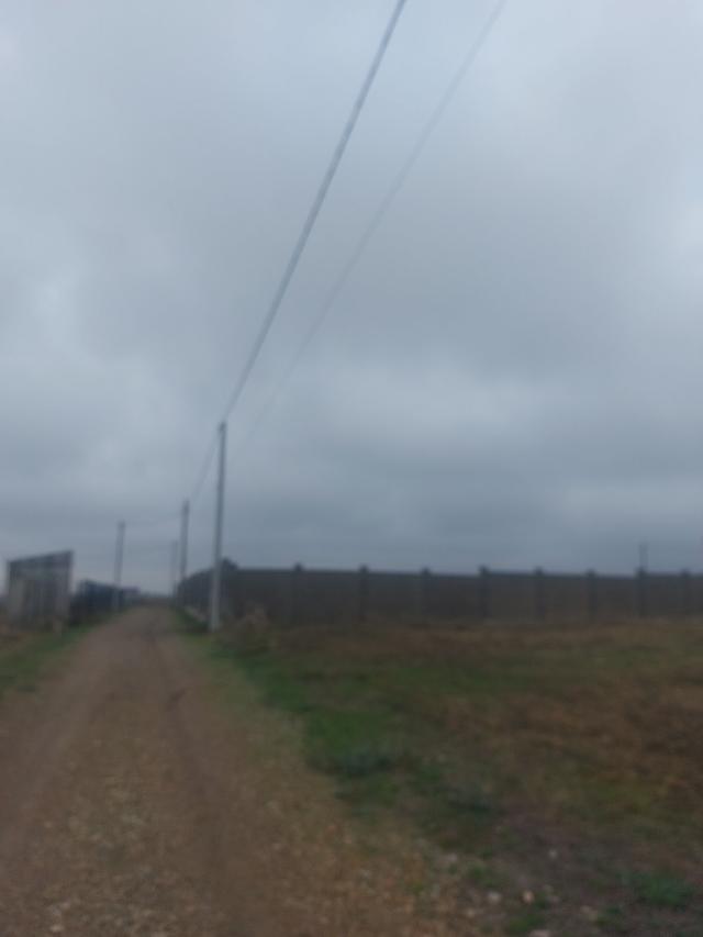 https://photo.capital.com.ua/foto_d/d5537102405.jpg