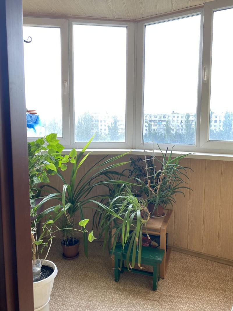https://photo.capital.com.ua/foto_k/k55032914109.jpg