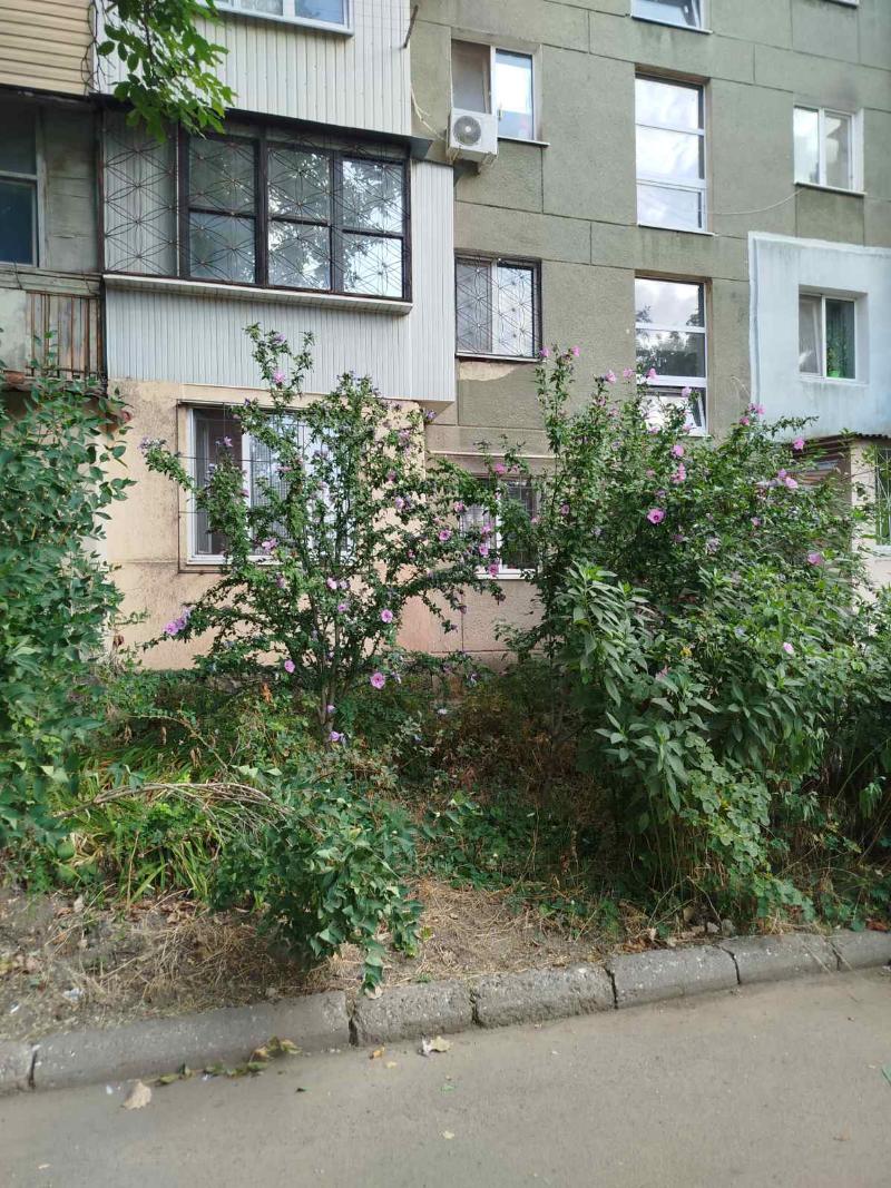 https://photo.capital.com.ua/foto_k/k55032935505.jpg