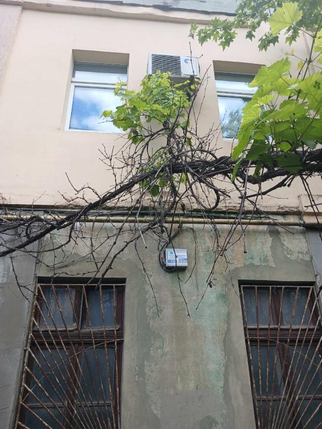 https://photo.capital.com.ua/foto_k/k55042679503.jpg