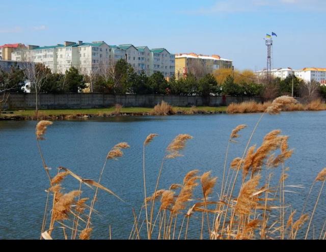 https://photo.capital.com.ua/foto_k/k55042681311.jpg