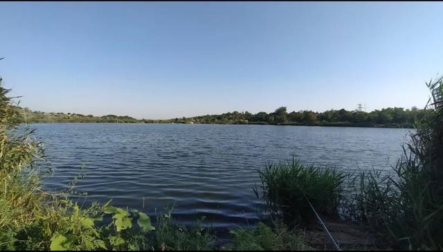 https://photo.capital.com.ua/foto_k/k55042681312.jpg