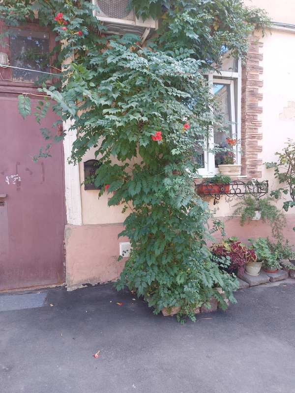 https://photo.capital.com.ua/foto_k/k55042683734.jpg