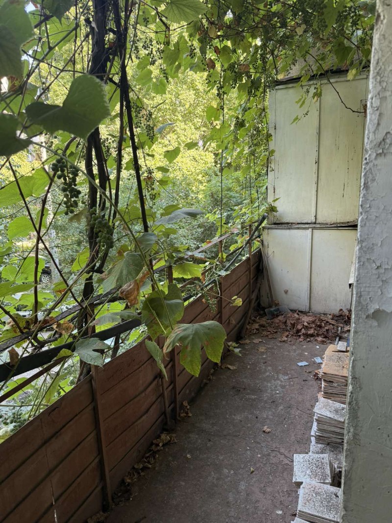 https://photo.capital.com.ua/foto_k/k55064068201.jpg