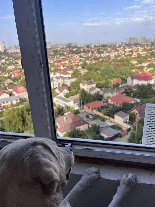 https://photo.capital.com.ua/foto_k/k55064092001.jpg