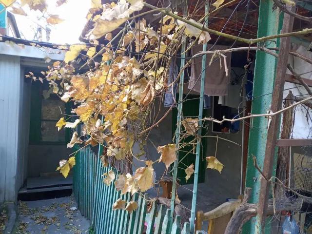 https://photo.capital.com.ua/foto_k/k55072585102.jpg