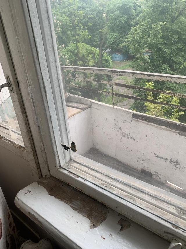 https://photo.capital.com.ua/foto_k/k55072815509.jpg