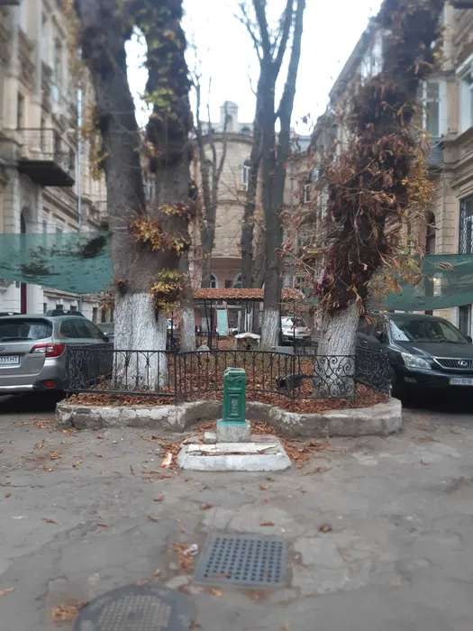 https://photo.capital.com.ua/foto_k/k55072818302.jpg
