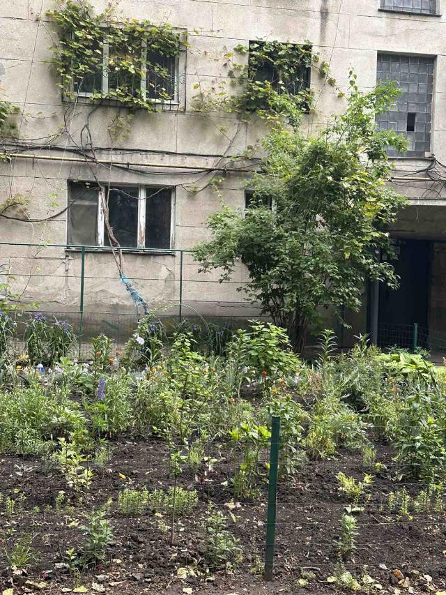 https://photo.capital.com.ua/foto_k/k55072860707.jpg