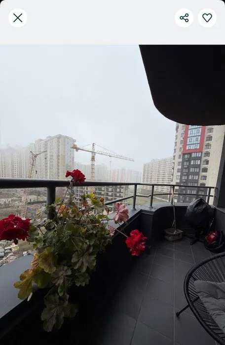 https://photo.capital.com.ua/foto_k/k55072876709.jpg