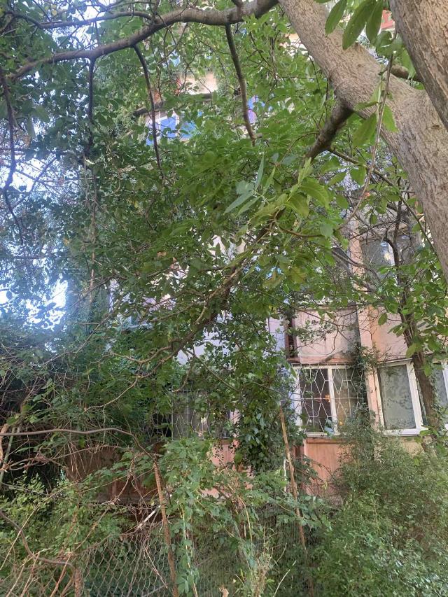 https://photo.capital.com.ua/foto_k/k55082990915.jpg