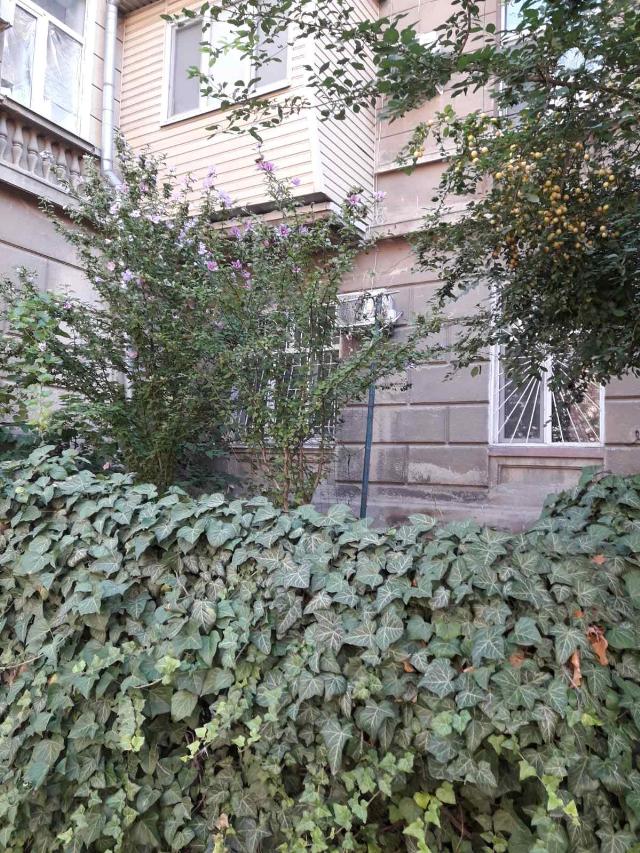https://photo.capital.com.ua/foto_k/k55082995816.jpg
