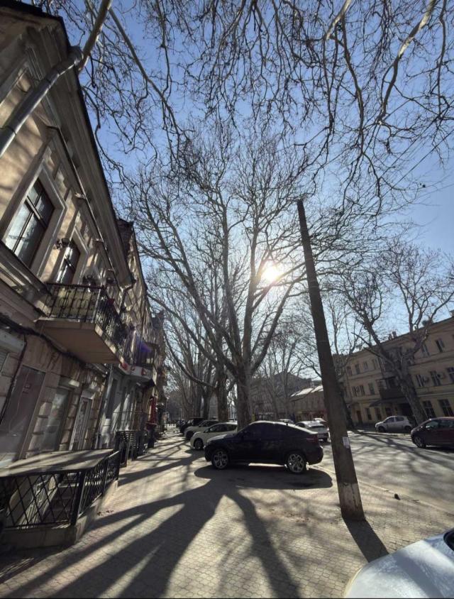 https://photo.capital.com.ua/foto_k/k55082999305.jpg