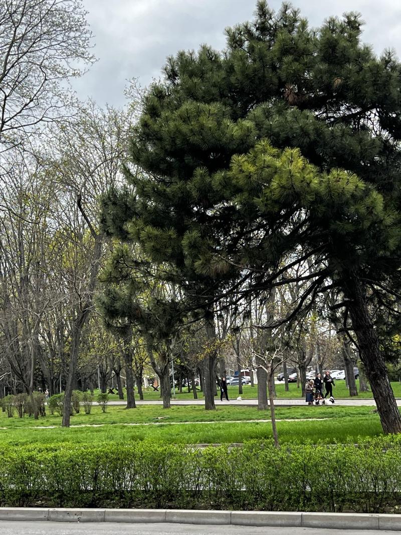 https://photo.capital.com.ua/foto_k/k55142876305.jpg