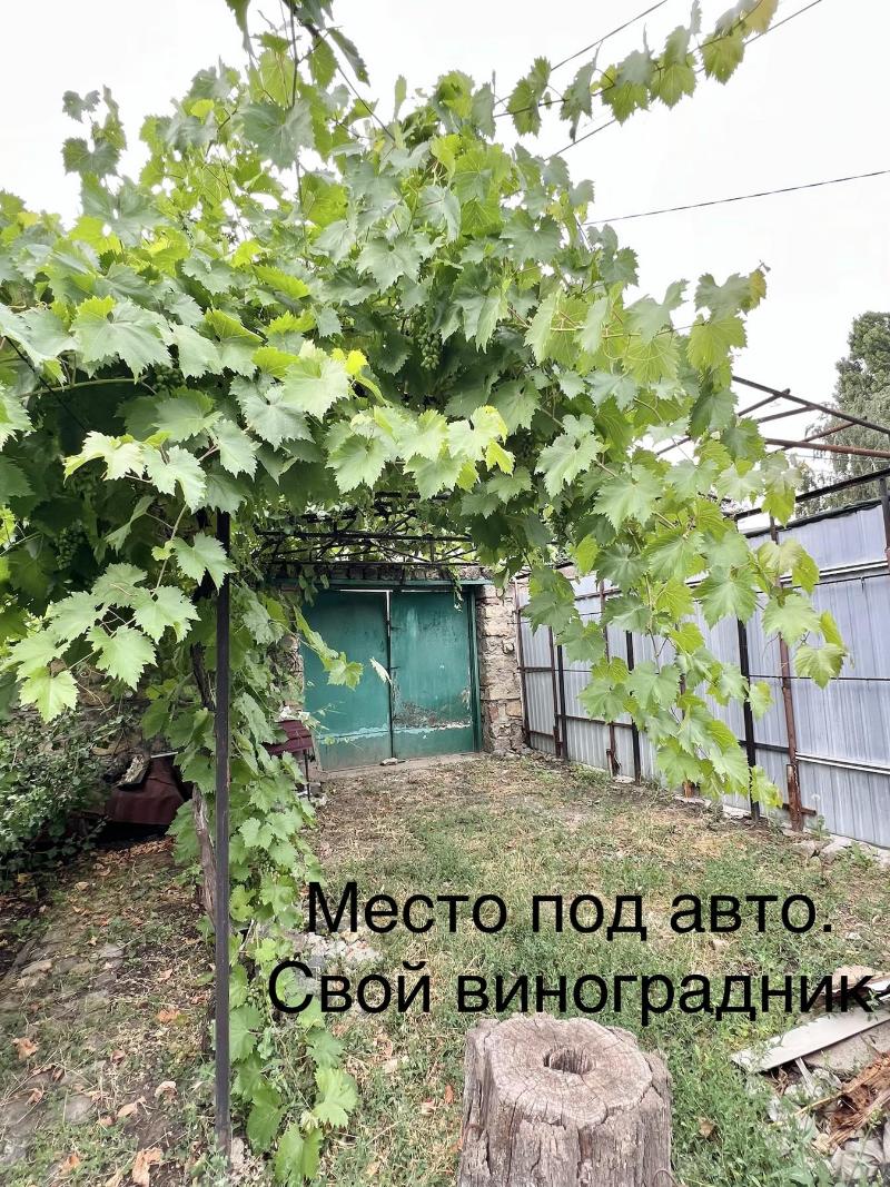 https://photo.capital.com.ua/foto_k/k55142885905.jpg