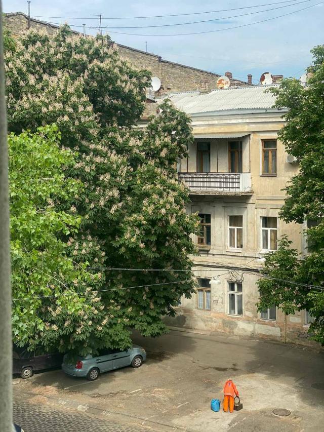 https://photo.capital.com.ua/foto_k/k55153614910.jpg