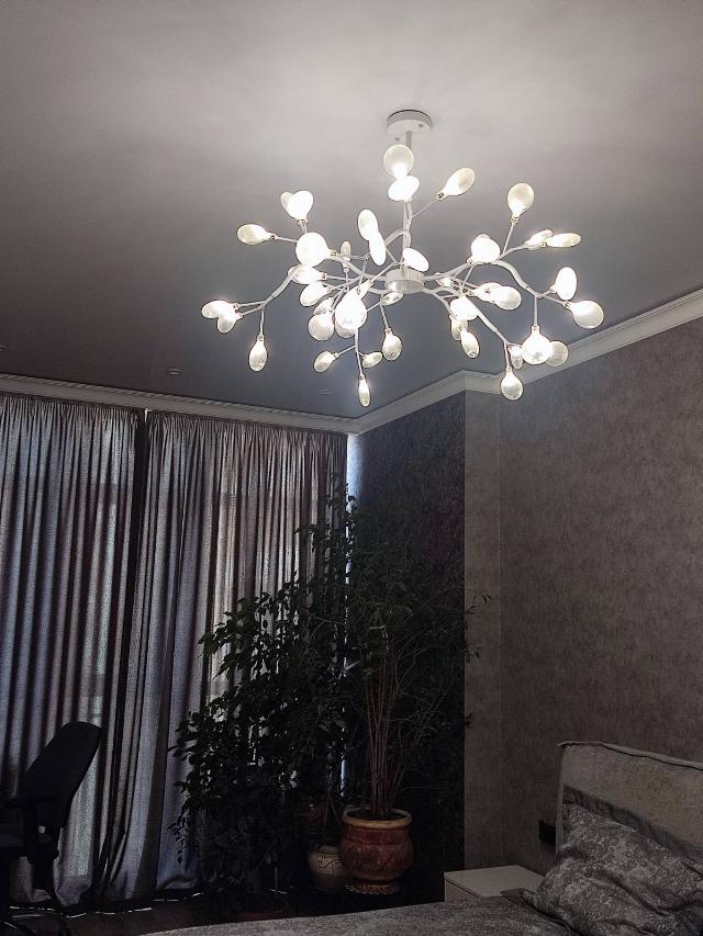 https://photo.capital.com.ua/foto_k/k55153639806.jpg