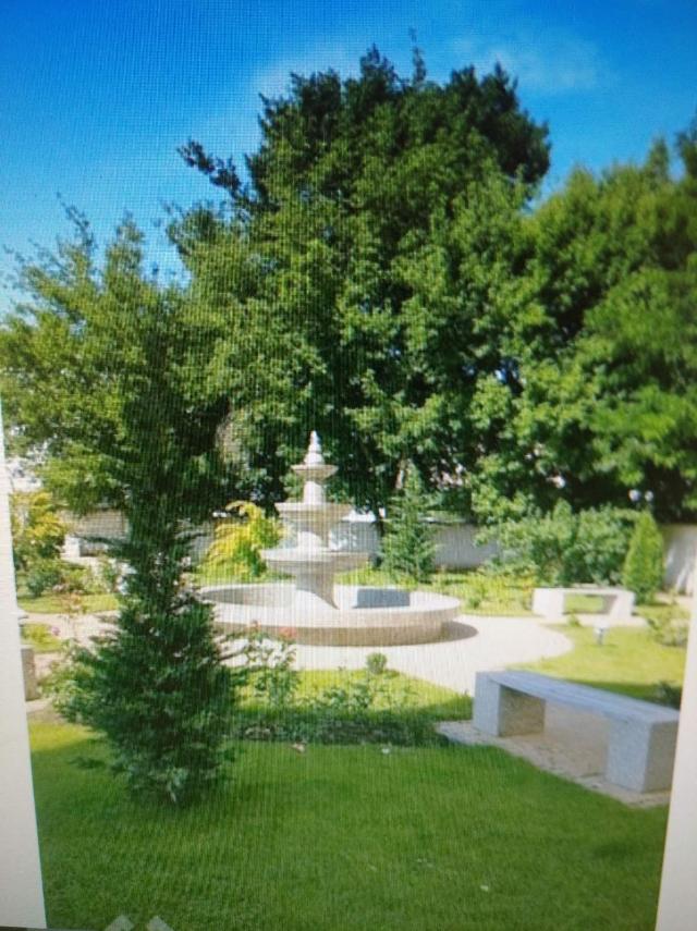 https://photo.capital.com.ua/foto_k/k55153644105.jpg