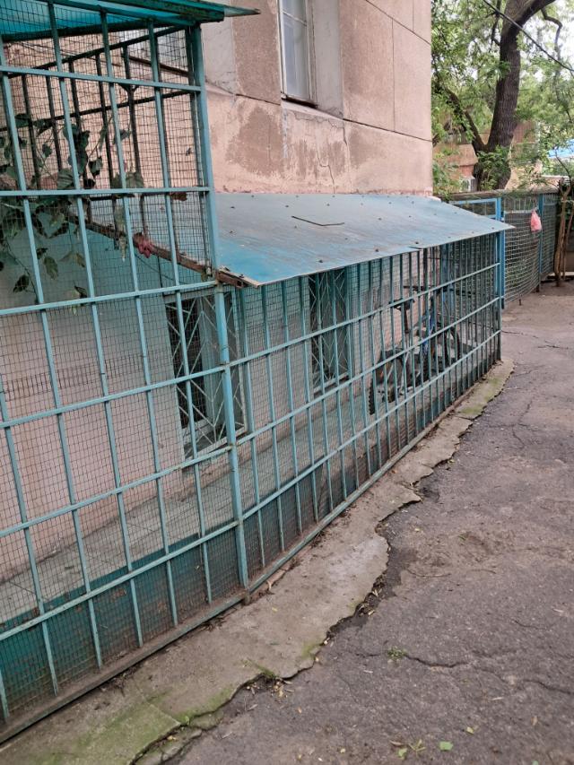 https://photo.capital.com.ua/foto_k/k55153646315.jpg