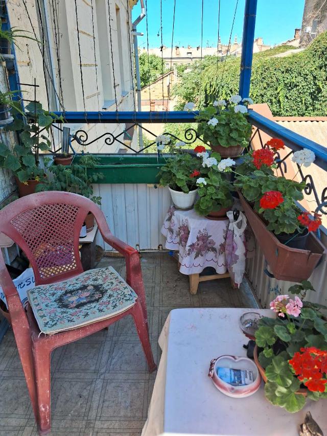 https://photo.capital.com.ua/foto_k/k55153659517.jpg