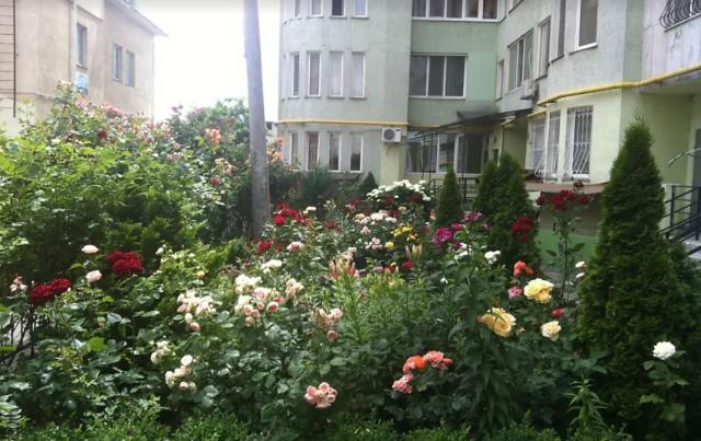 https://photo.capital.com.ua/foto_k/k55153682709.jpg