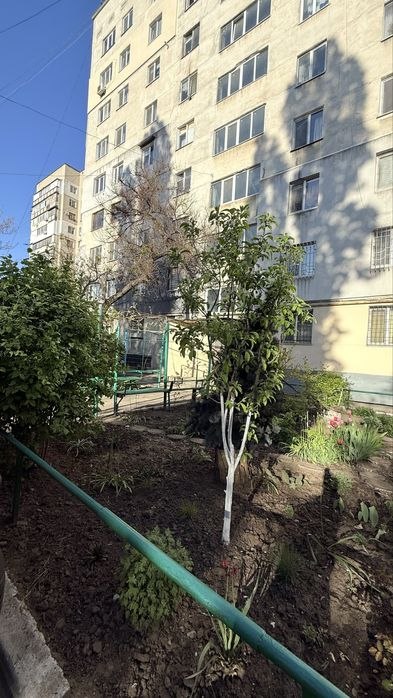 https://photo.capital.com.ua/foto_k/k55153725601.jpg