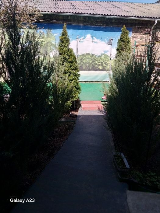 https://photo.capital.com.ua/foto_k/k55153739817.jpg