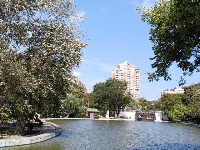https://photo.capital.com.ua/foto_k/k55153767312.jpg