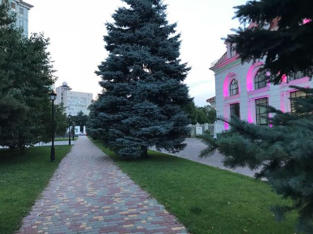 https://photo.capital.com.ua/foto_k/k55153770321.jpg