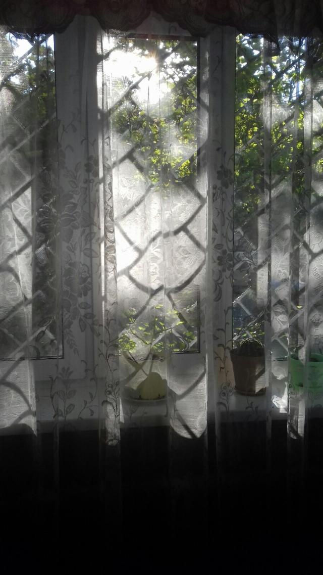 https://photo.capital.com.ua/foto_k/k55192024313.jpg