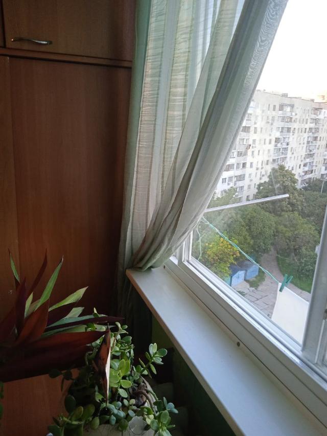 https://photo.capital.com.ua/foto_k/k55192029514.jpg