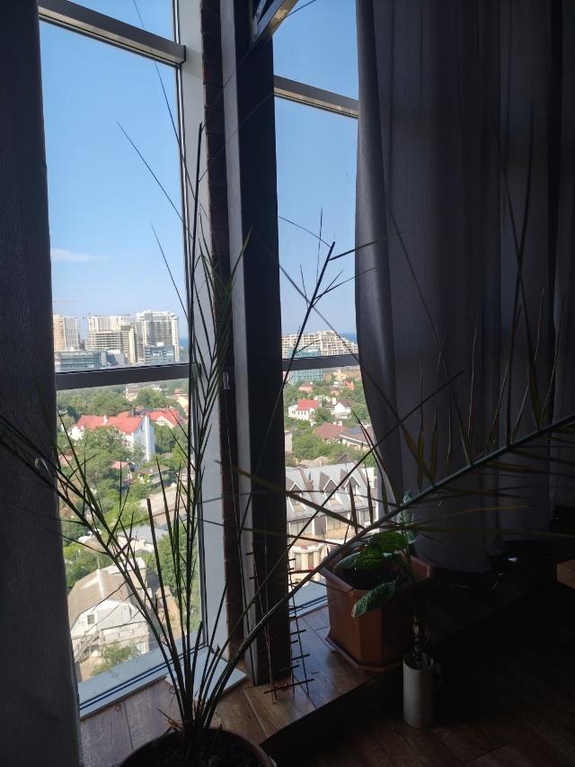 https://photo.capital.com.ua/foto_k/k55192034307.jpg