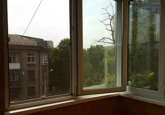 https://photo.capital.com.ua/foto_k/k5537553506.jpg