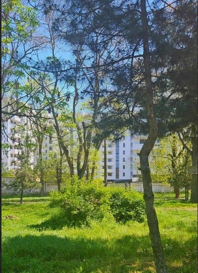 https://photo.capital.com.ua/foto_k/k5537564802.jpg