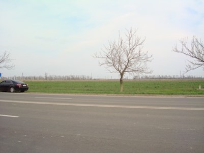 https://photo.capital.com.ua/foto_n/n550374201.jpg