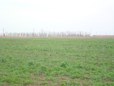 https://photo.capital.com.ua/foto_n/n550374202.jpg
