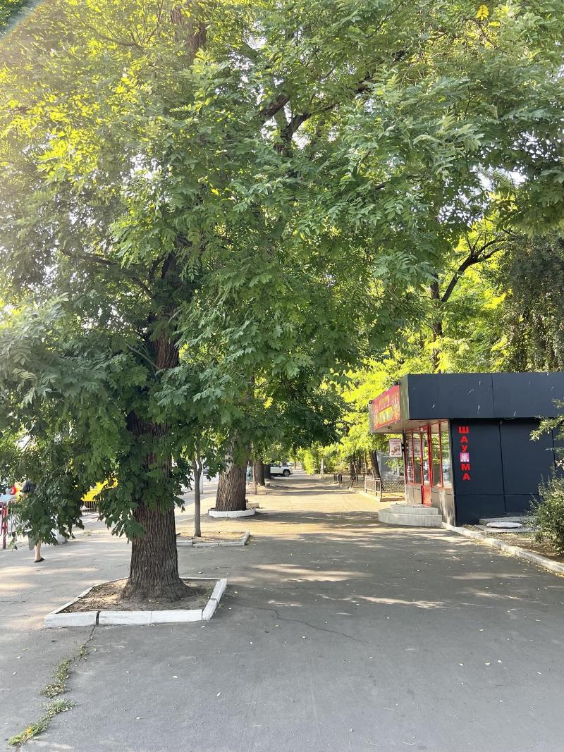 https://photo.capital.com.ua/foto_n/n5514111705.jpg